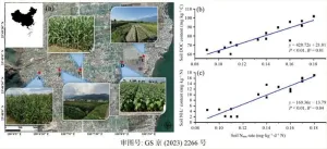 Is soil nitrogen mineralization important in agricultural intensive areas?