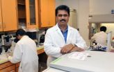 ISU research raises hope for solving Parkinsons disease puzzle