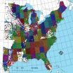 IU research: Forest diversity from Canada to the sub-tropics influenced by family proximity