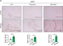 JMC | Insilico Medicine presents the discovery of the potent and selective MYT1 inhibitors for the treatment of cancer through generative AI 3