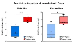 A kimchi bacterium binds nanoplastics in the gut — and doubles their excretion in mice 2