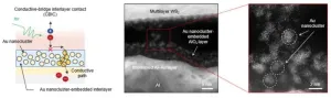 KIST develops high-performance sensor based on two-dimensional semiconductor