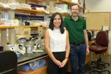 Komen supports UVA Engineering researchers targeting ‘triple negative breast cancer