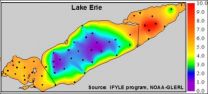 Lake Erie hypoxic zone doesnt affect all fish the same, study finds