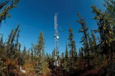 Landmark 20-year study of climate change impact on permafrost forests