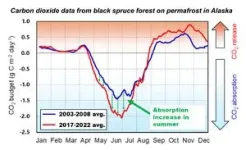 Landmark 20-year study of climate change impact on permafrost forests 2