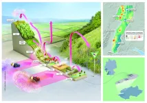 Landscape scale pesticide pollution detected in the Upper Rhine region, from agricultural lowlands to remote areas