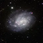 Large and small galaxies may grow in ways more similar than expected