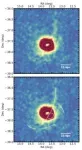 Large and small galaxies may grow in ways more similar than expected 2