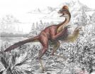 Large feathered dinosaur species discovered in North America