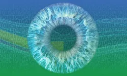 Large-scale study enables new insights into rare eye disorders