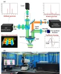 Laser differential confocal Raman-Brillouin spectrum microscopy