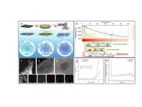 Laser solid-phase synthesis of graphene shell-encapsulated high-entropy alloy nanoparticles