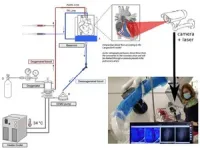 Laser speckle imaging can identify hearts suitable for transplantation 2