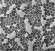 Lava dots: Rice makes hollow, soft-shelled quantum dots