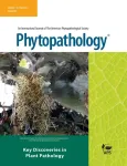 Leading plant science journal publishes a special issue on key discoveries in plant pathology