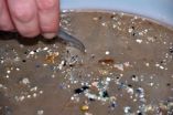 Leading scientists express rising concern about microplastics in the ocean