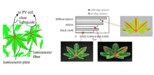 Leaf-like solar concentrators promise major boost in solar efficiency