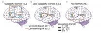 Learning languages is a workout for brains, both young and old