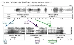 Lengthened consonants mark the beginning of words