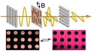 Let there be light: Chemists develop magnetically responsive liquid crystals