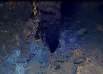 Life in the smoke of underwater volcanoes