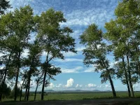 Life on land and water teeters between haves and have-nots