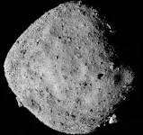 Life’s building blocks in Bennu samples