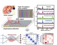 Light-AI technology opens the door to early cancer diagnosis 3