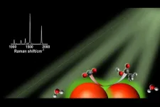 Light-harvesting nanoparticle catalysts show promise in quest for renewable carbon-based fuels