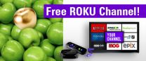 Lightcast.com Sponsors 100 Churches With a Custom Roku Channel!