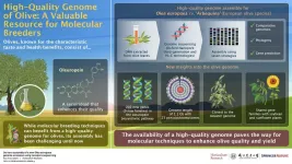 Like your olives bitter? Molecular breeding can make them even better!