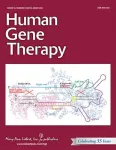 Lipid nanoparticle mRNA therapy improves survival in mouse models of maple syrup urine disease