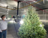 Live Christmas trees affect indoor air chemistry, NIST researchers find