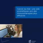 Liver cancer: a promising avenue for more effective immunotherapies 2