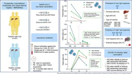 Liver cirrhosis is associated with a lower immune response to COVID-19 vaccines but not with reduced vaccine efficacy