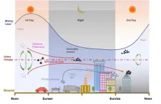 Local emissions amplify regional haze and particle growth