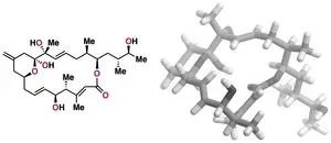 Long-sought structure of powerful anticancer natural product solved by integrated approach 2