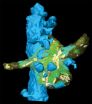 Loose coupling between calcium channels and sensors