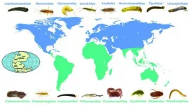 Loss of biodiversity in streams threatens vital biological process