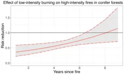 Low-intensity fires reduce wildfire risk by 60%, according to study by Columbia and Stanford researchers