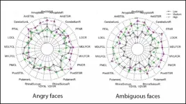 Lower testosterone during puberty increases the brains sensitivity to it in adulthood