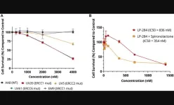 LP-284 targets non-Hodgkin's lymphoma and DNA damage repair deficiency