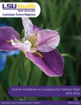 LSU Health New Orleans LA Tumor Registry releases 6th Census Tract Cancer Incidence Report