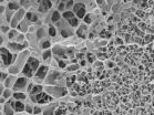 Lung mucus gel scaffold prevents nanoparticles from getting through