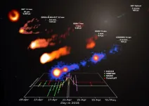 M87s powerful jet unleashes rare gamma-ray outburst