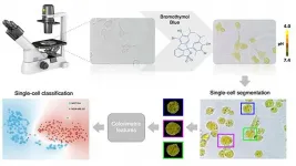 Machine learning can identify cancerous cells by their acidity