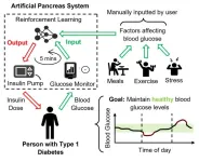 Machine-learning method used for self-driving cars could improve lives of type-1 diabetes patients