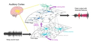 Machine learning model sheds light on how brains recognize communication sounds