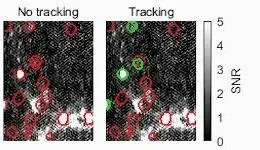 Machine learning platform identifies activated neurons in real-time